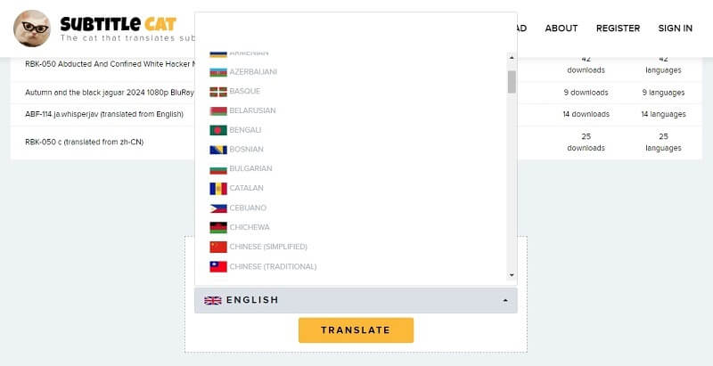 Upload/ Translate Your Own Subtitle File