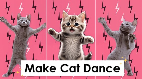 人氣貓咪跳舞影片